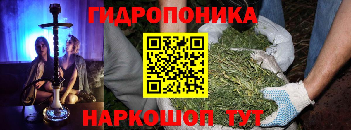 Канабис индика Великие Луки